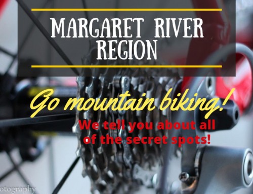 Mountain Biking Margaret River; loads of choice!